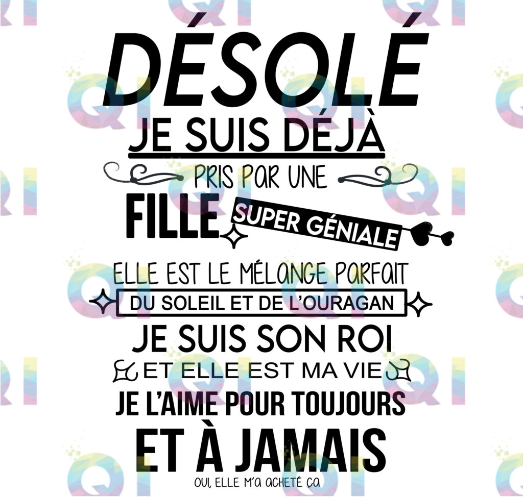 Fichier numérique PNG - Désolé je suis déjà pris
