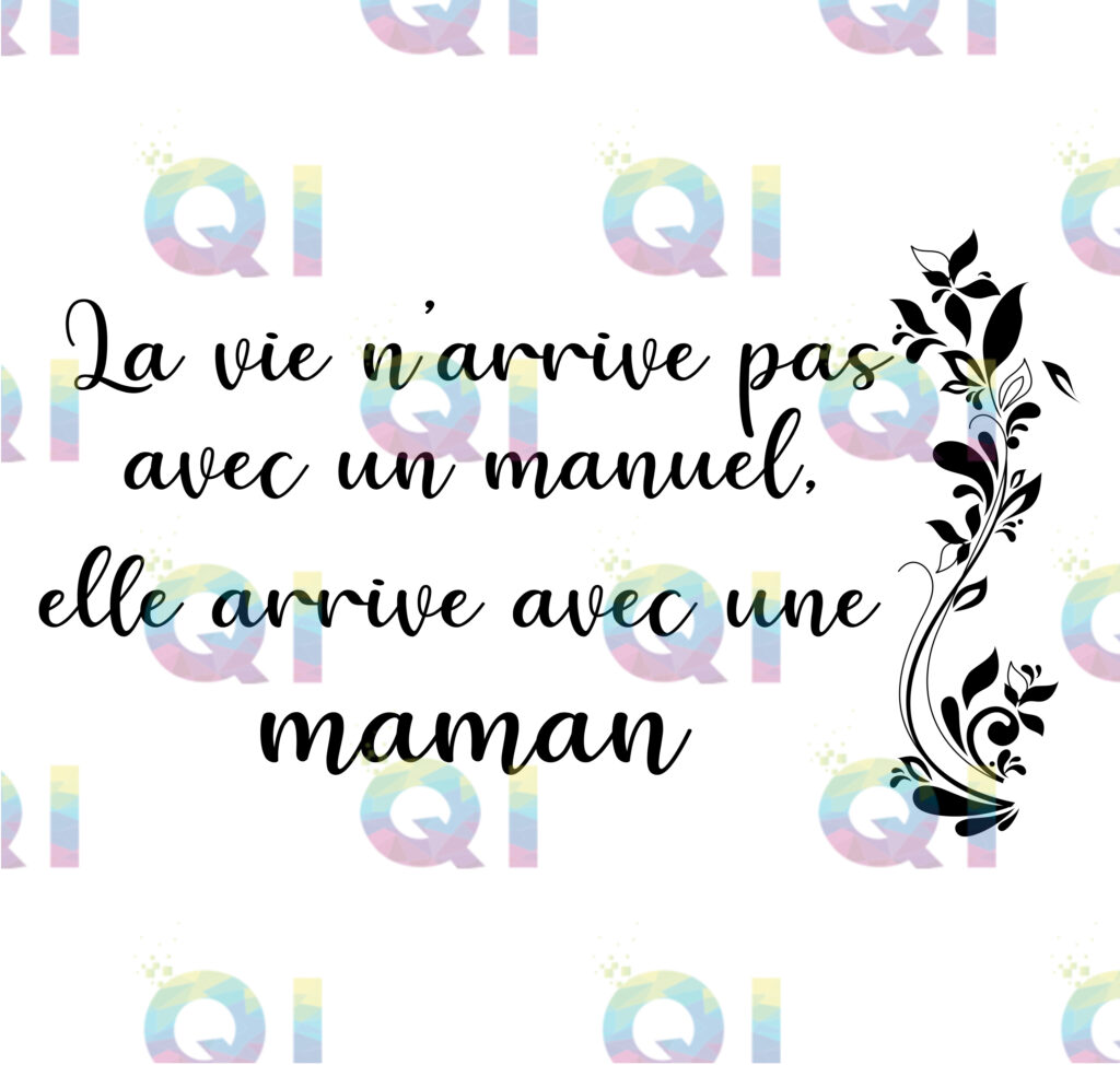 Fichier numérique PNG - La vie n'arrive pas avec un manuel