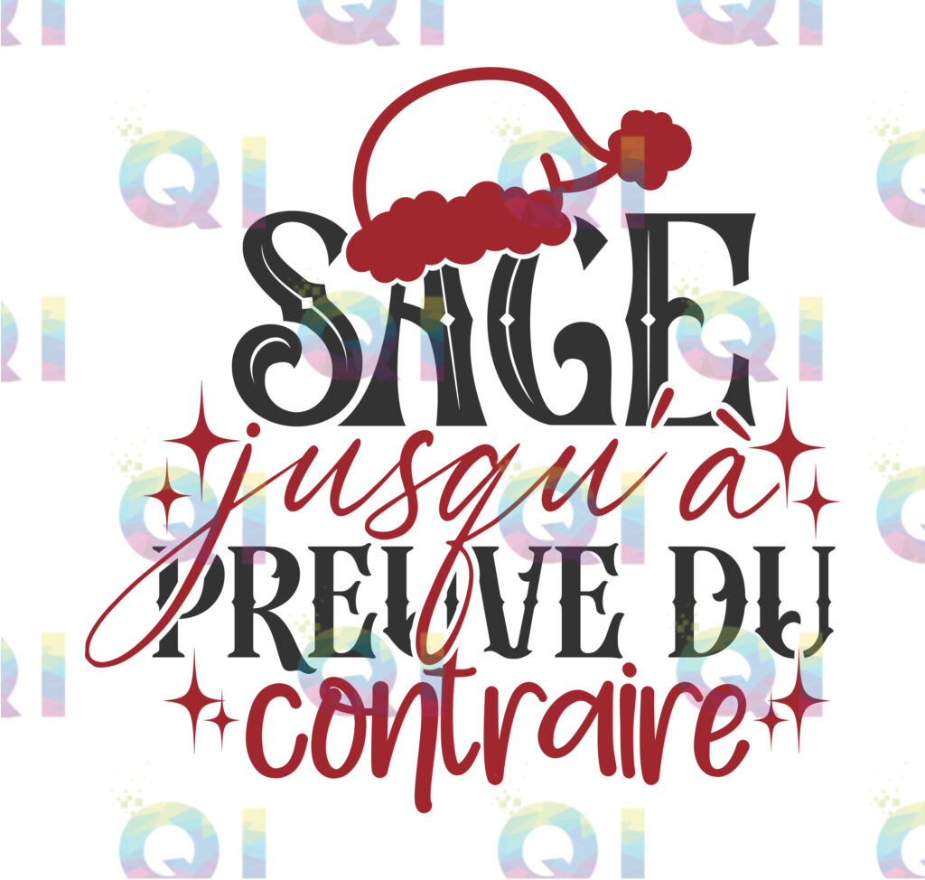Fichier numérique PNG - Sage jusqu'à preuve du contraire